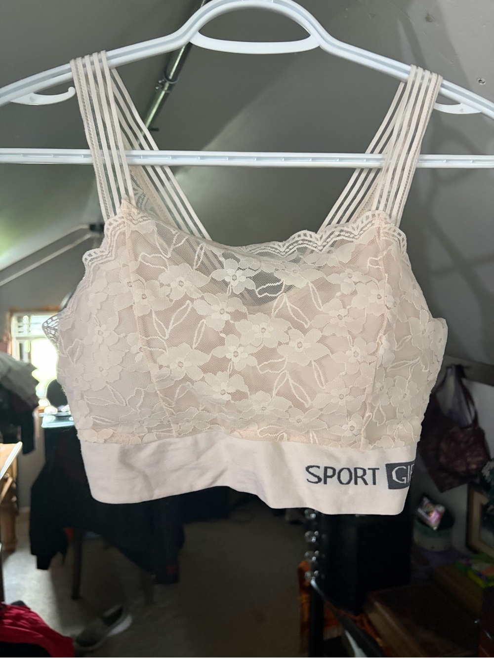 Sportsgirl Lace Bralette in Blush